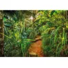 Фотообои бумажные Komar Тропинка в джунглях 8-989 3,68х2,54 м
