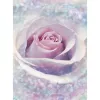 Фотообои флизелиновые Komar Delicate Rose XXL2-020 1,84х2,48 м