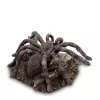 Статуэтка Паук Тарантул Veronese, изображение 2