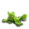 Фигурка-лягушка Фрогги на отдыхе The Comical World of Warren Stratford RV-113, изображение 2