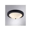 Светильник ARTE LAMP JAMES A4049PL-3BK, изображение 2