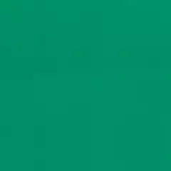 Линолеум спортивный Tarkett Omnisports Excel Field Green 2x20,5 м