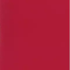 Линолеум спортивный Tarkett Omnisports Excel Red 2x20,5 м