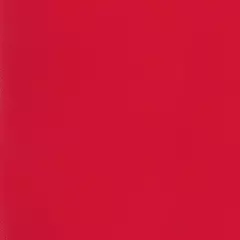 Линолеум спортивный Tarkett Omnisports Reference Red 2x20,5 м