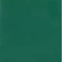 Линолеум спортивный Tarkett Omnisports Speed Forest Green 2x20,5 м