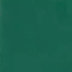 Линолеум спортивный Tarkett Omnisports Excel Forest Green 2x20,5 м