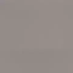 Линолеум спортивный Tarkett Omnisports Excel Grey 2x20,5 м