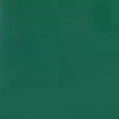 Линолеум спортивный Tarkett Omnisports Reference Forest Green 2x20,5 м