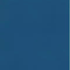 Линолеум спортивный Tarkett Omnisports Reference Royal Blue 2x20,5 м