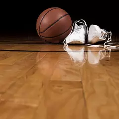 Линолеум спортивный LG Hausys Rexcourt G6000 Wood SPF 1811 1,8x15 м, изображение 3