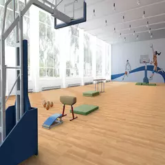 Линолеум спортивный Tarkett Omnisports Reference Maple 2x20,5 м, изображение 3