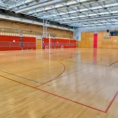 Паркетная доска Grabo Sport JumpAir Ясень трехполосная лак 2250х190х14 мм, изображение 3