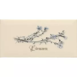 Декор Decor Linum Crema 10x20 APE Cerаmica