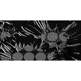 Декор Дива ВС9ДВ722 24.9x50 Alma Ceramica (Уралкерамика)