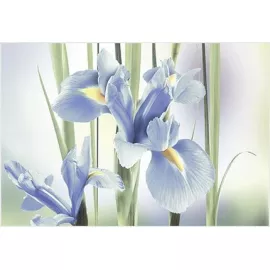 Декор Рефлекс Ирис ВС7РИ103 24.9x36.4 Alma Ceramica (Уралкерамика)