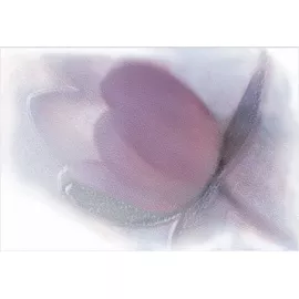 Декор Лила ВС7ЛЛ003 24.9x36.4 Alma Ceramica (Уралкерамика)