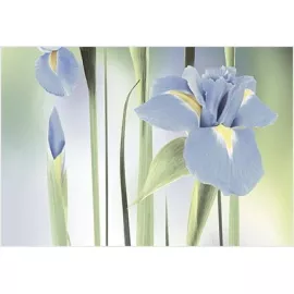 Декор Рефлекс Ирис ВС7РИ123 24.9x36.4 Alma Ceramica (Уралкерамика)