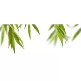 Декор Leaves Centro C 20x50 Cerrol