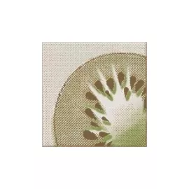 Декор Inwencja Kiwi 10x10 Opoczno