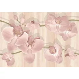 Декор 3550 Orquidea Pamesa