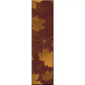 Clones brown (braz) Бордюр 6,5x25