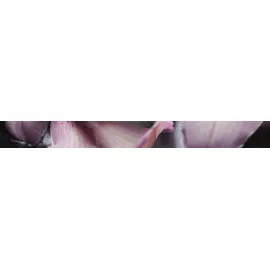 Porto Orchid lila listwa Бордюр 6х60