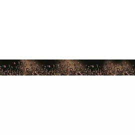 Royal Coffe Break listwa Бордюр 6,5х50