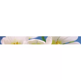 Blue garden Бордюр 6х60