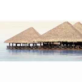 Дель маре Декор ВС9ДМ004 / DWU09DLM004 24,9х50