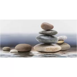 Плессо Декор ВС9ПЛ624 50х24,9