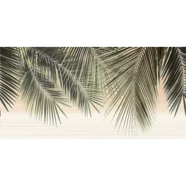 Дель маре Декор ВС9ДМ001 24,9х50