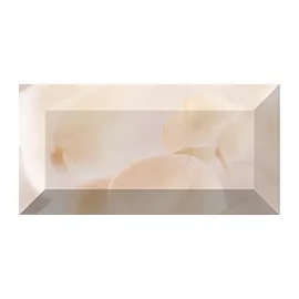 Damasc Бордюр рельефный br1020D294-2 20х10