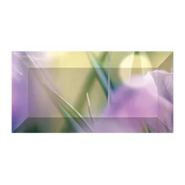 Crocus Бордюр рельефный br1020D286-1 20х10