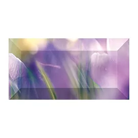 Crocus Бордюр рельефный br1020D286-2 20х10