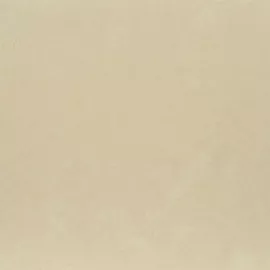 Bliss beige PG 01 450х450 мм - 1,62/42,12