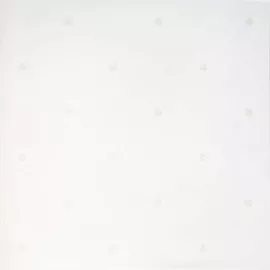 Glance light PG 02 450х450 мм - 1,62/42,12