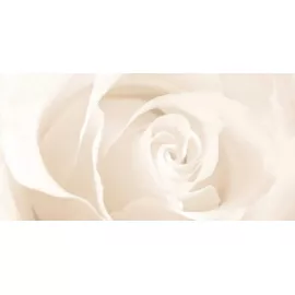 Декор настенный Effecta 297x600 бежевый EC2L011EDT