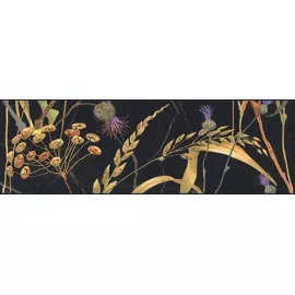 Бордюр настенный Астория Птицы 80x250 черный SST\A03\12000R, изображение 2