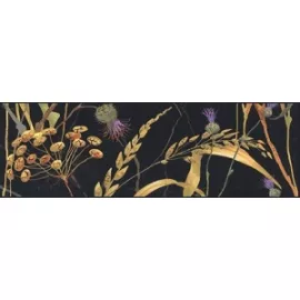 Бордюр настенный Астория Птицы 80x250 черный SST\A03\12000R