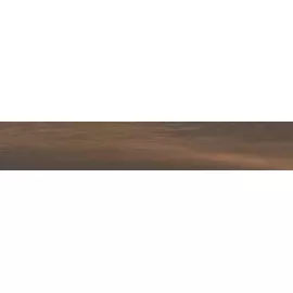 SG040200R Фоссил Вуд коричневый темный обрезной 40*238.5 керамический гранит
