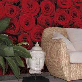Фотообои бумажные Komar Roses 4-077 1,94х2,7 м, изображение 2