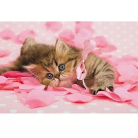 Фотообои виниловые на флизелиновой основе Decocode Розовая нежность 13-0302-NR 2,5х1,3 м