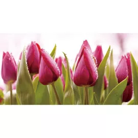 Фотообои виниловые на флизелиновой основе Decocode Голландские тюльпаны 13-0525-FR 2,5х1,3 м