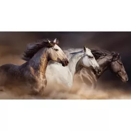 Фотообои виниловые на флизелиновой основе Decocode Ветер 13-0538-NE 2,5х1,3 м