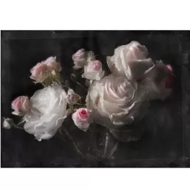 Фотообои бумажные Komar Вечность 4-876 2,54х1,84 м