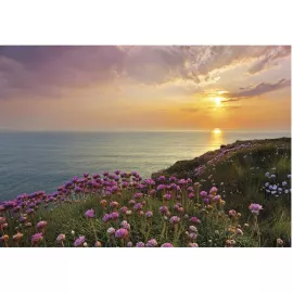 Фотообои бумажные Komar Land's End 8-901 3,68х2,54 м