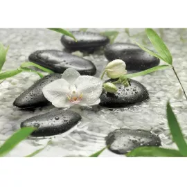 Фотообои бумажные Komar Pure 8-319 3,68х2,54 м