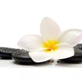 Фотообои виниловые на флизелиновой основе Decocode Свежесть 13-0296-FW 2,5х1,3 м