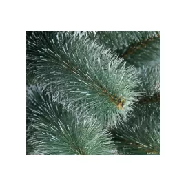 Крымская сосна Сималенд Белоснежная 140 см, d нижнего яруса 70 см, 117 веток 3099758, изображение 2