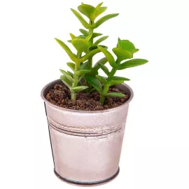 Изделия декоративное Lefard сукулента в горшке диаметр=8,5 см высота=14 см